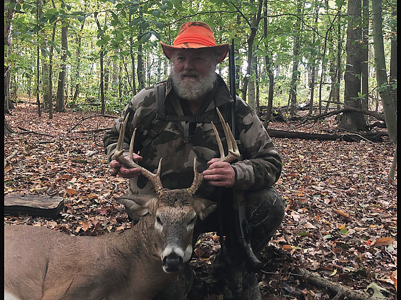 A whitetail buck in the hardwoods
