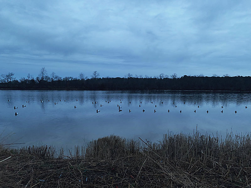 Decoys on the pond under a grey sky