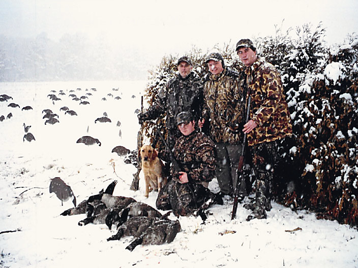Snow on the hedgerow, geese on the ground